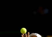 开云体育官方网站-温网翻盘戴维斯杯，西西帕斯关键制胜的简单介绍