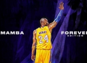 开云平台-跨界传奇，佛罗伦萨绝境重生，拉亚在NBA总决赛的守门员式接管