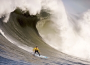 开云平台-世界杯之夜，小贾伦如何点燃美加墨赛场