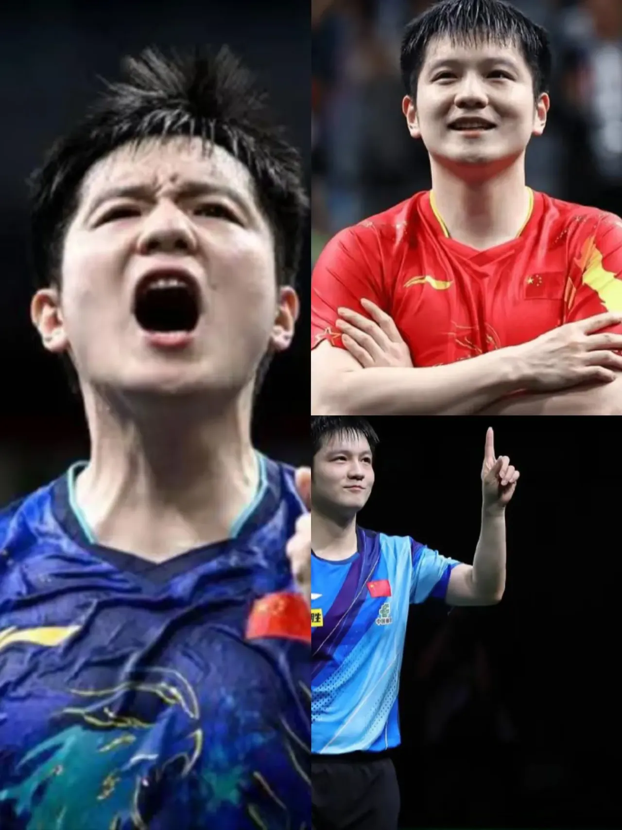 关于瑞典乒乓球队翻盘韩国乒乓球队，樊振东送出助攻的信息