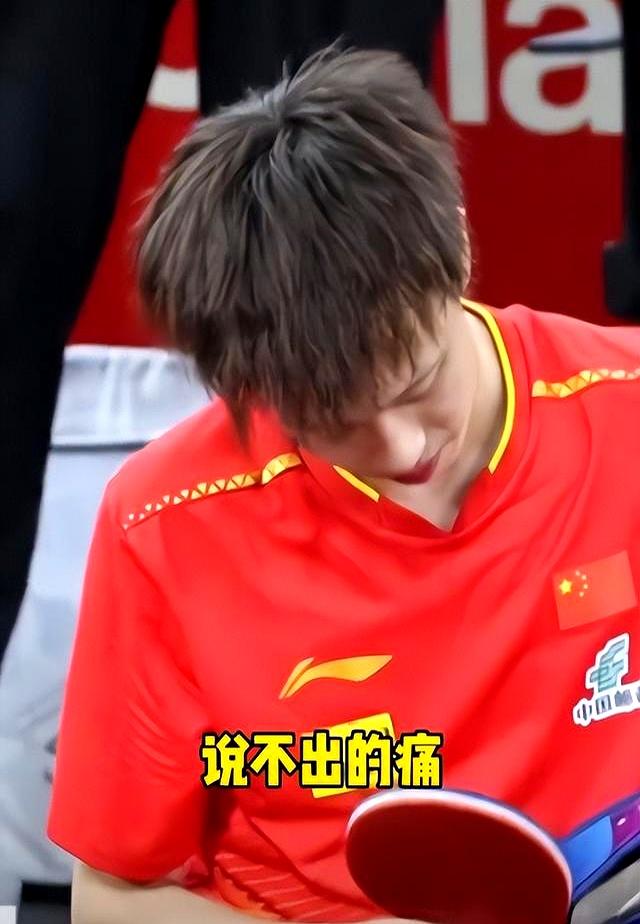 奥地利队逆转法国队,林高远带队取胜 奥地利队逆转法国队,林高远带队取胜