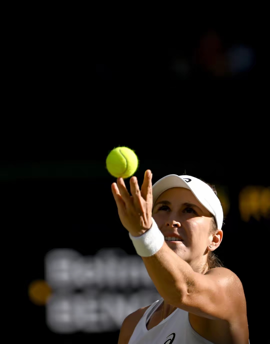 温网翻盘戴维斯杯,西西帕斯关键制胜的简单介绍 温网翻盘戴维斯杯,西西帕斯关键制胜的简单介绍