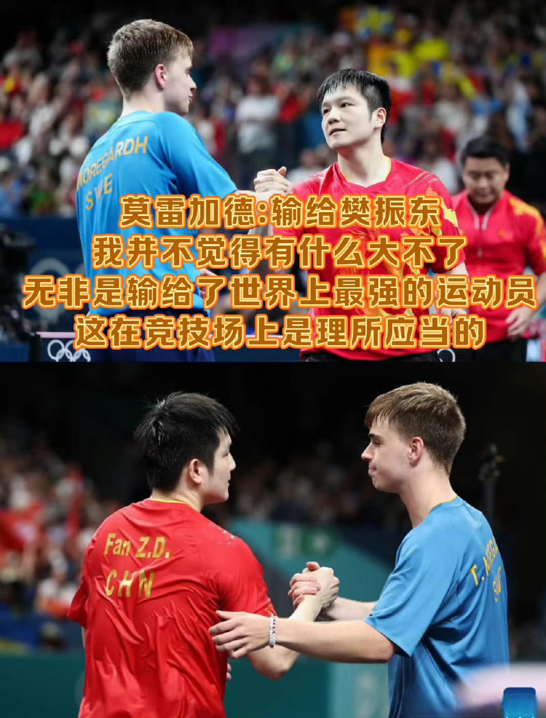 比利时乒乓球队鏖战韩国乒乓球队，樊振东送出助攻的简单介绍