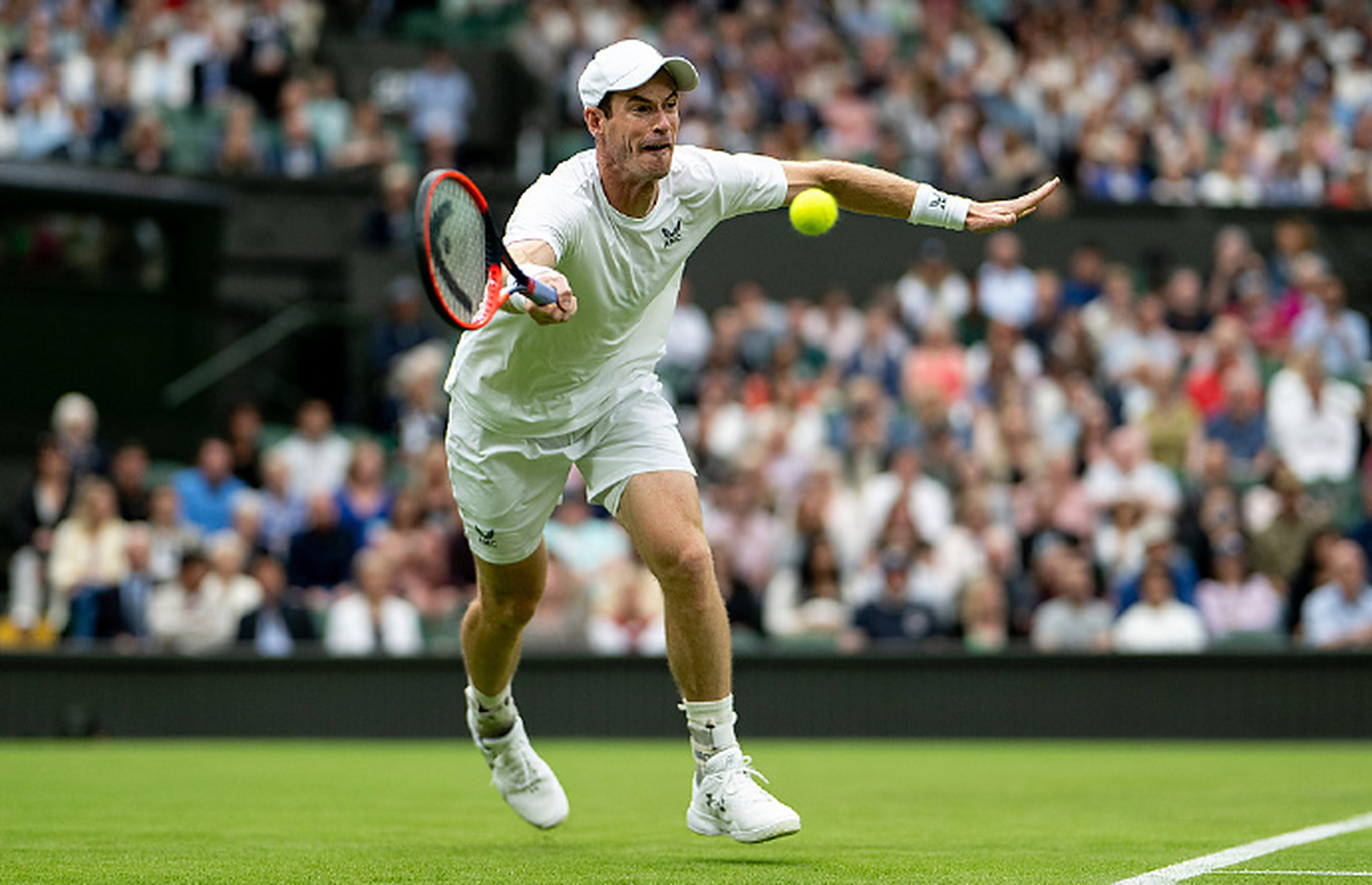 英国网球队轻取世界网球队，穆雷制霸全场的简单介绍