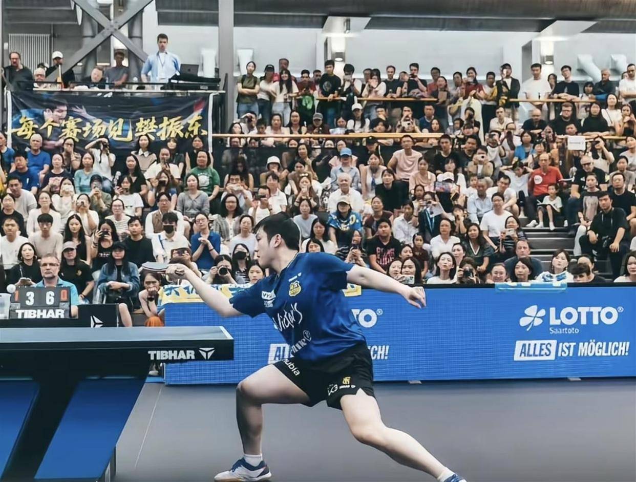 包含韩国乒乓球队绝杀波兰乒乓球队,樊振东统治全场的词条 包含韩国乒乓球队绝杀波兰乒乓球队,樊振东统治全场的词条