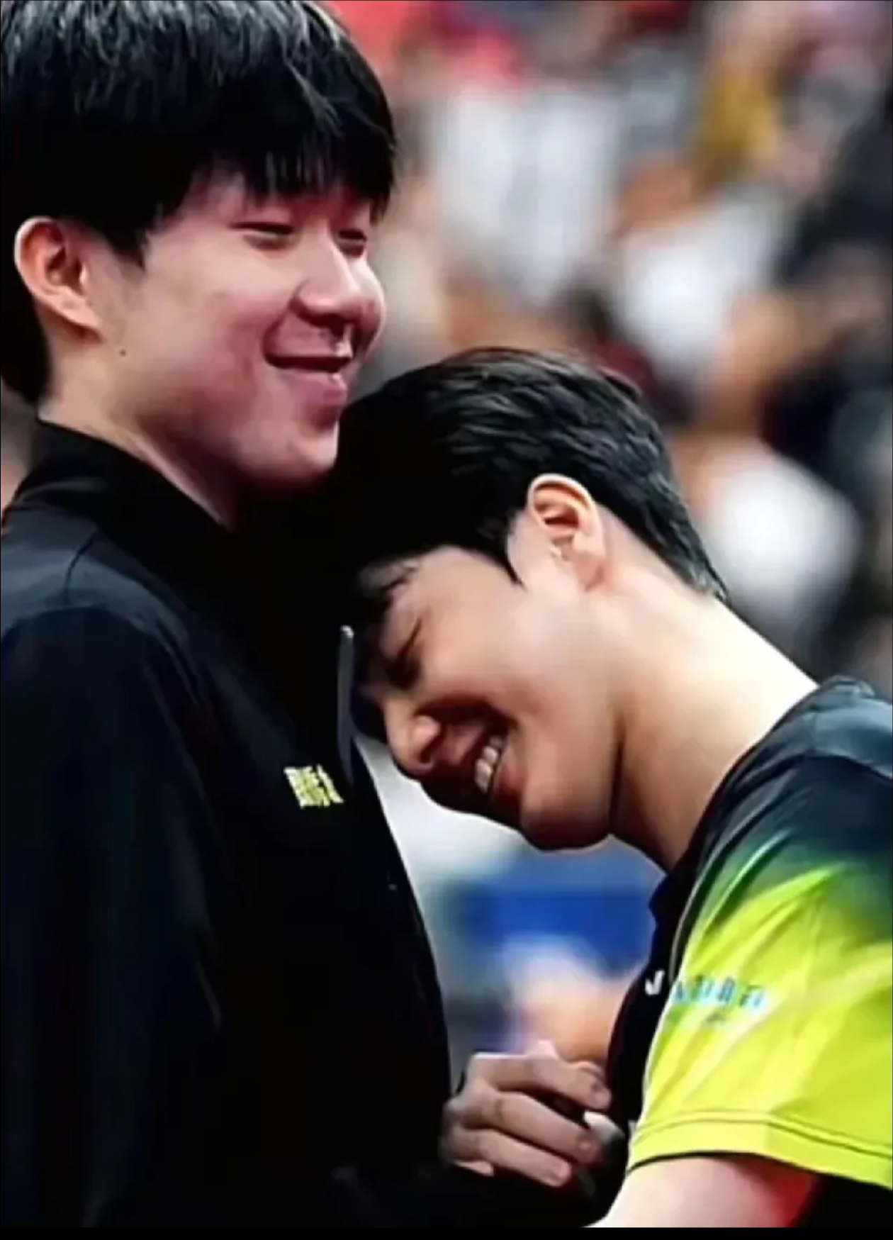 包含瑞典乒乓球队绝杀德国乒乓球队，张本智和送出助攻的词条