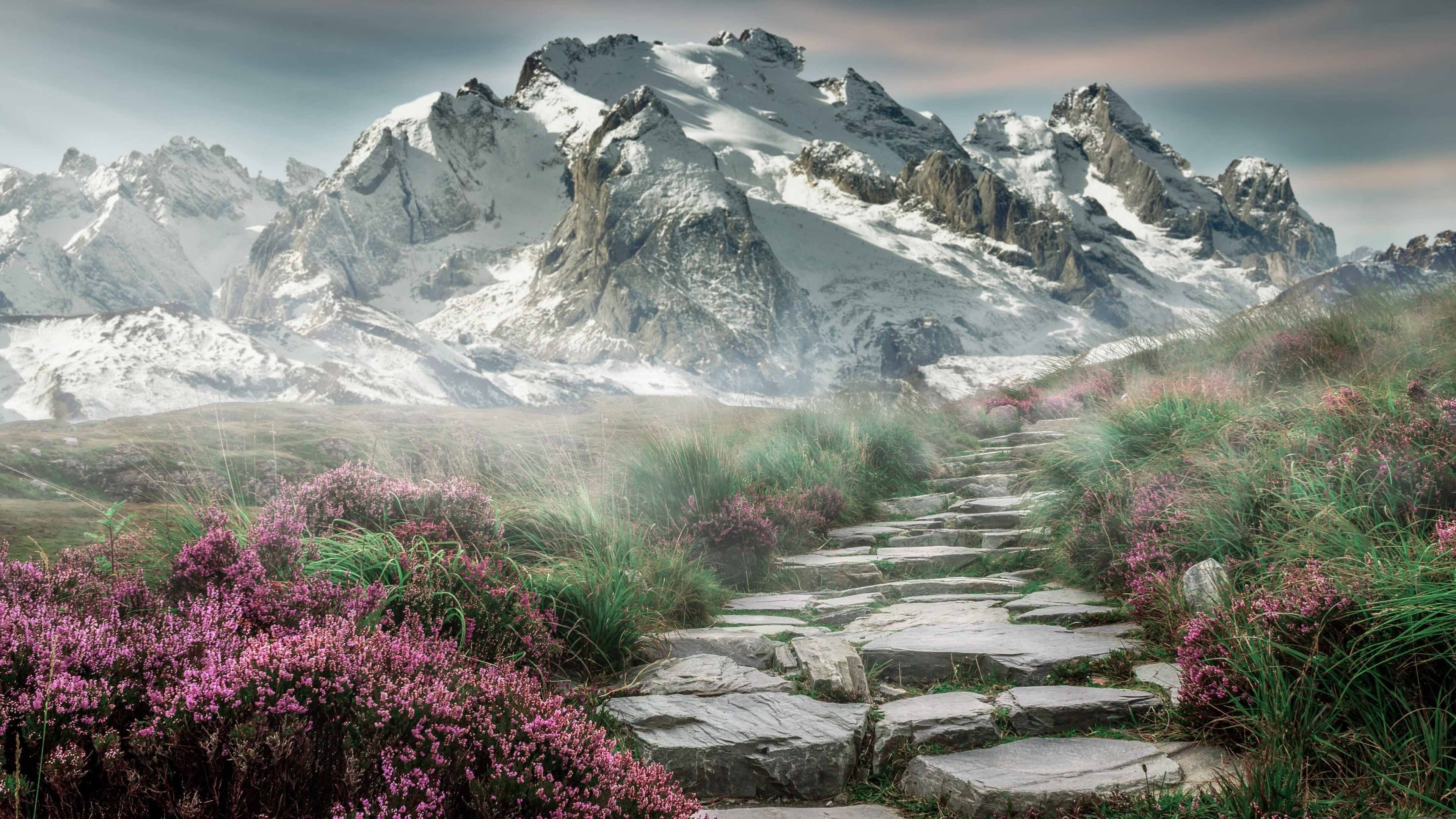 橙衣军团新王登基，莱奥刷新纪录，荷兰险胜克罗地亚